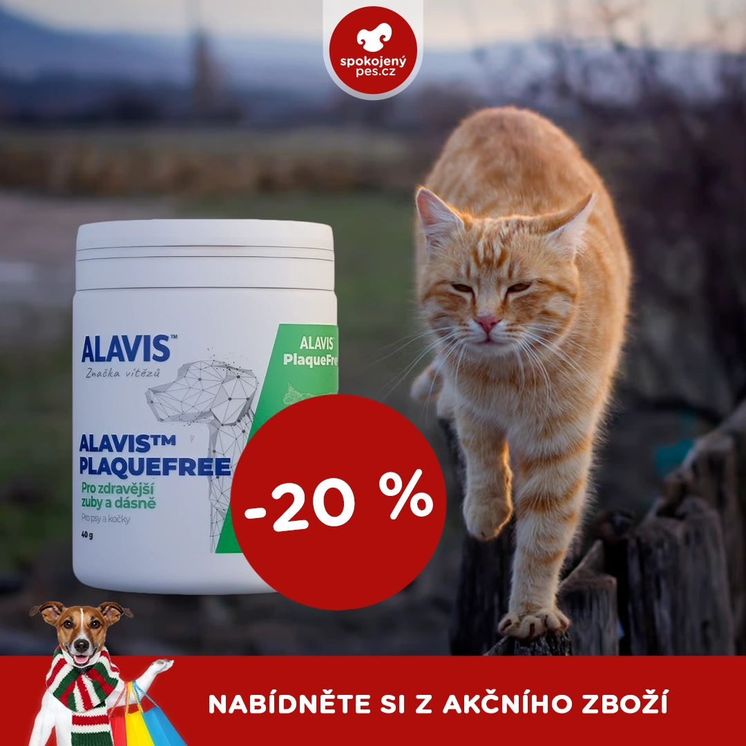 akční únor_10.webp